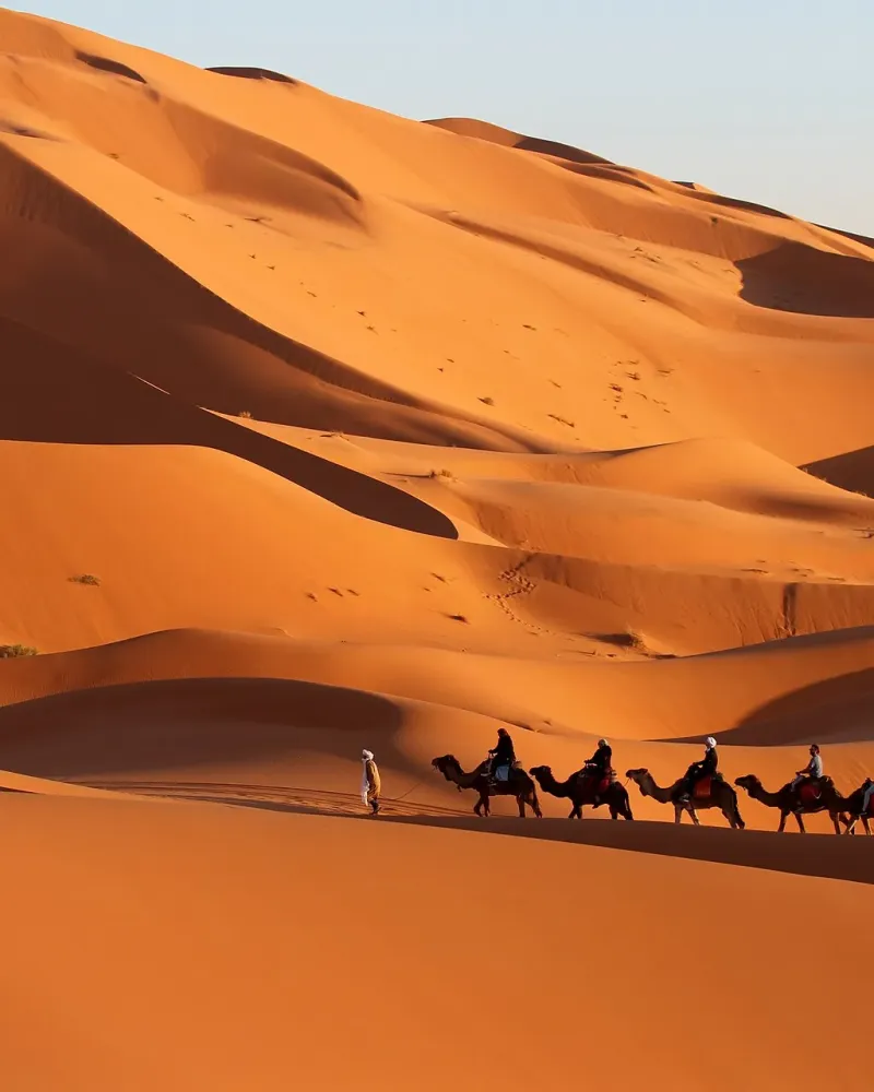 الجنوب الكبير وكثبان مرزوكة